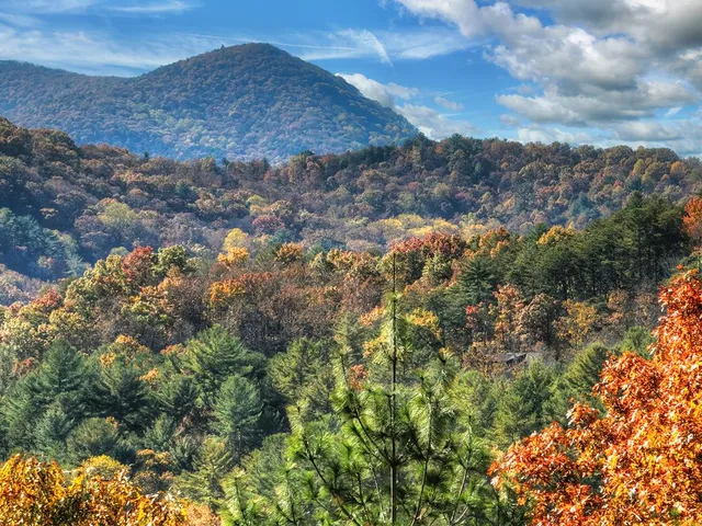 $1,150,000 | 671 Stover Knob Trail, Cherry Log, GA 30522