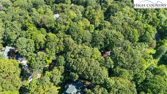 a view of a city with lush green forest