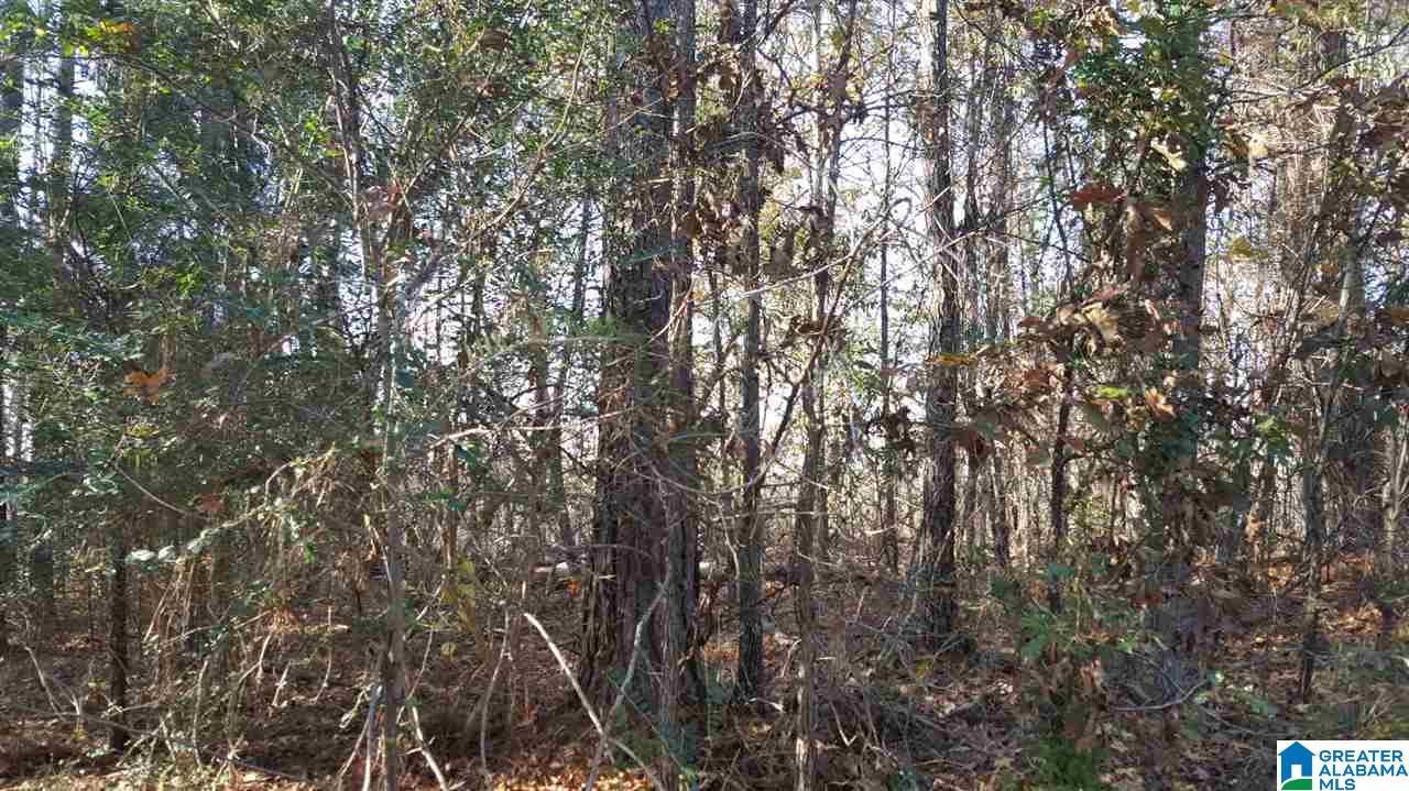 0 Haven Circle, Unit 39 Riverside, AL 35135 - Photo 20 of 32