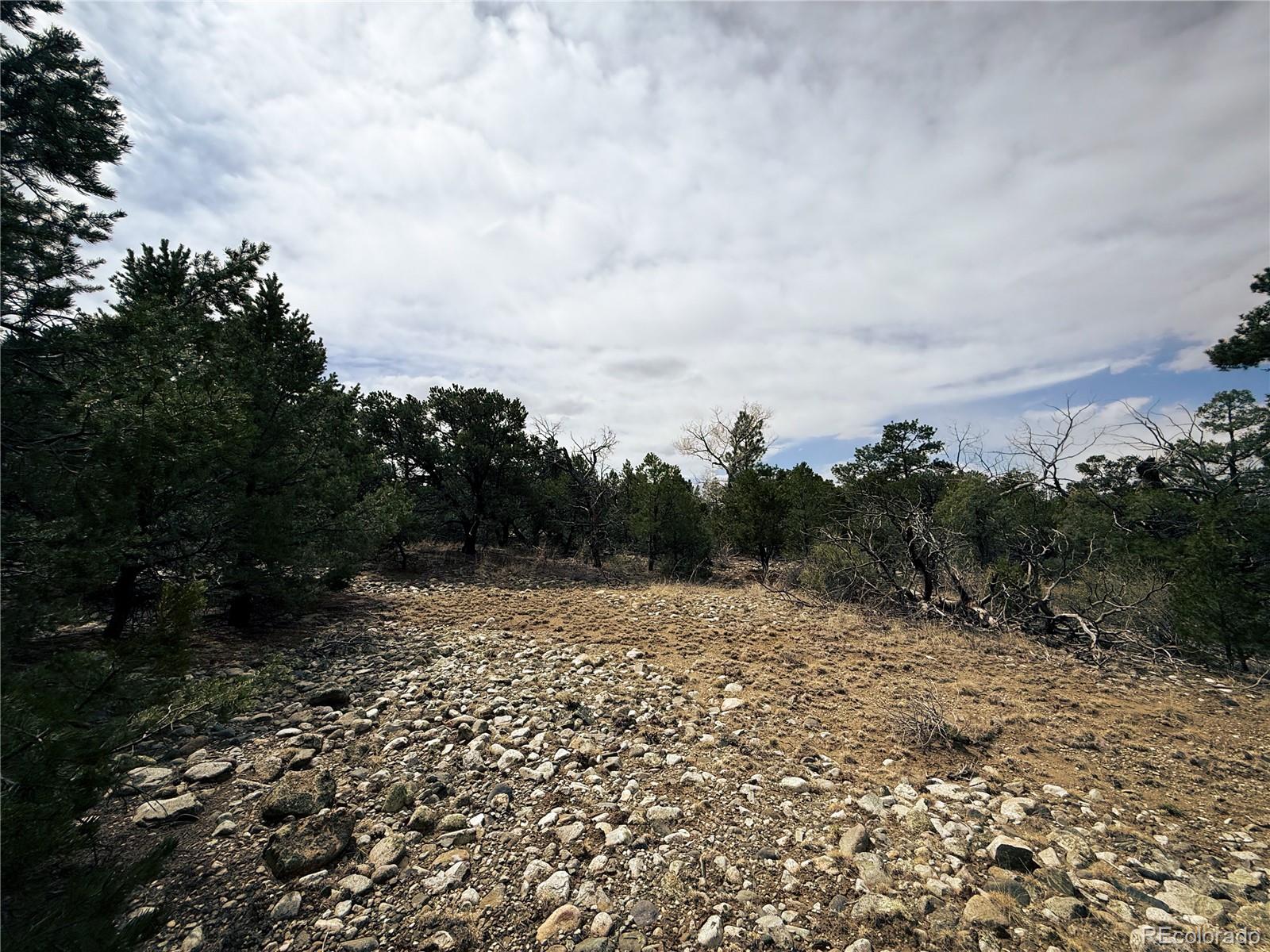 76 Mill Run Road Mosca, CO 81146 - Photo 3 of 10 a view of a pathway with a pathway