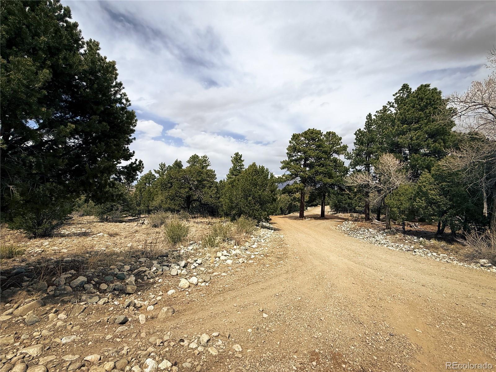 76 Mill Run Road Mosca, CO 81146 - Photo 5 of 10 a view of a yard with a tree