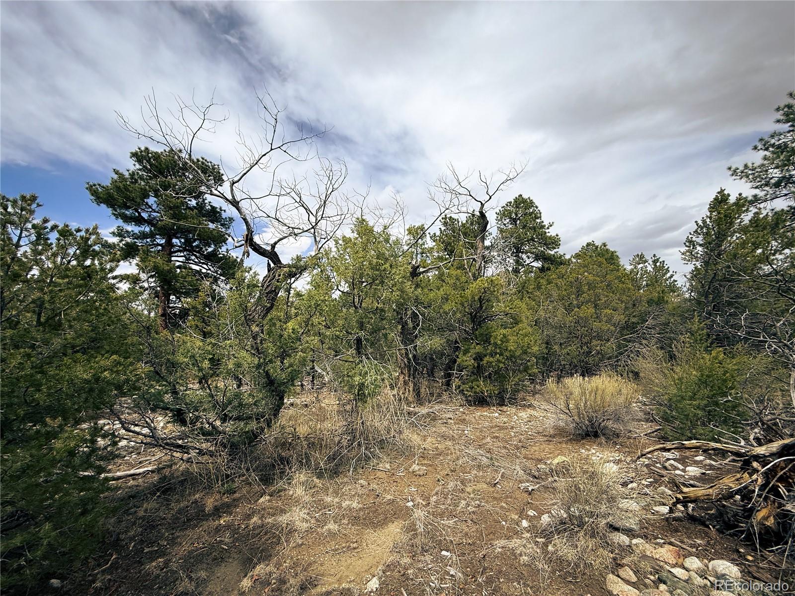 76 Mill Run Road Mosca, CO 81146 - Photo 8 of 10 a view of a dry yard