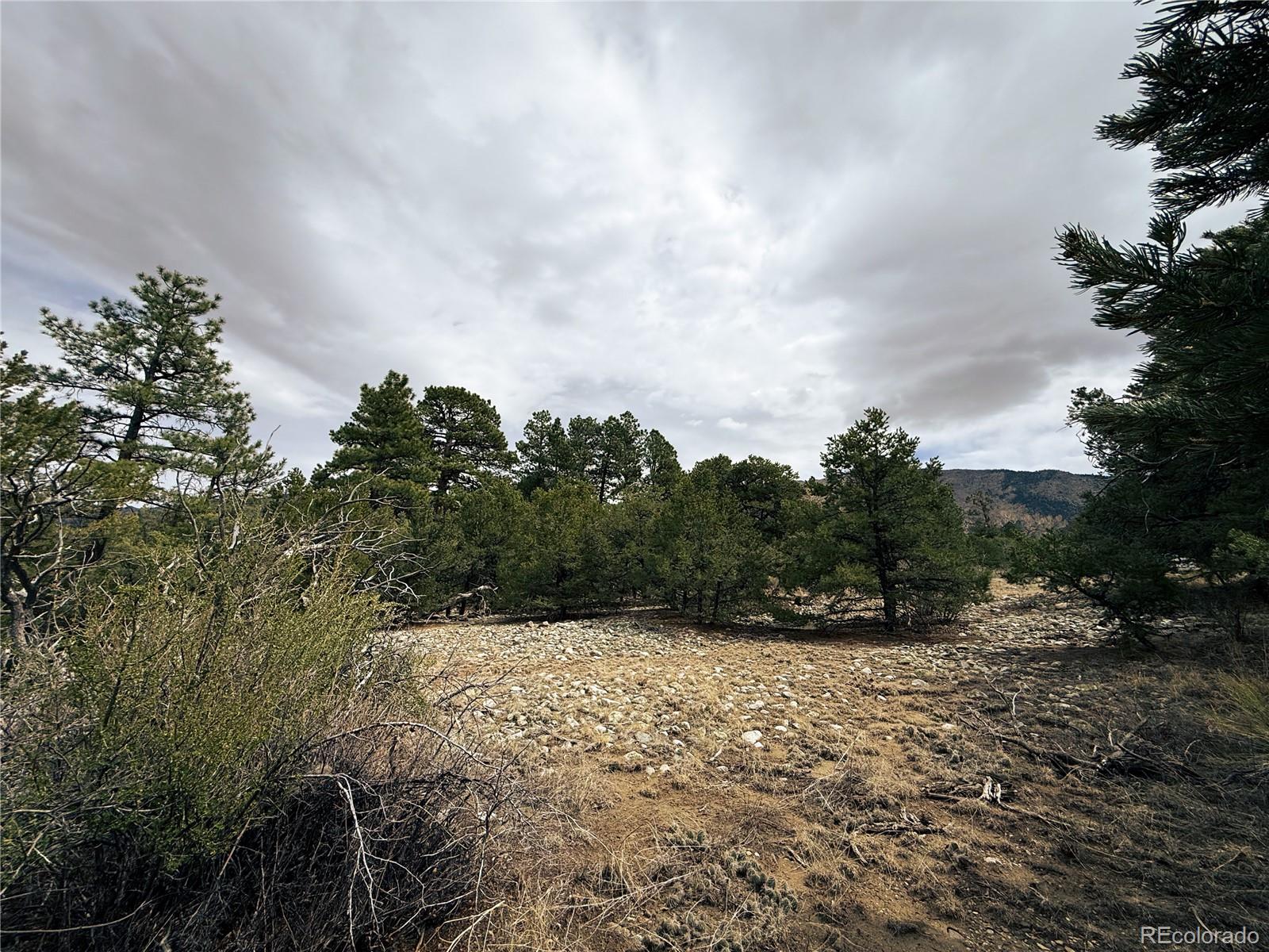 76 Mill Run Road Mosca, CO 81146 - Photo 9 of 10 a view of outdoor space and trees