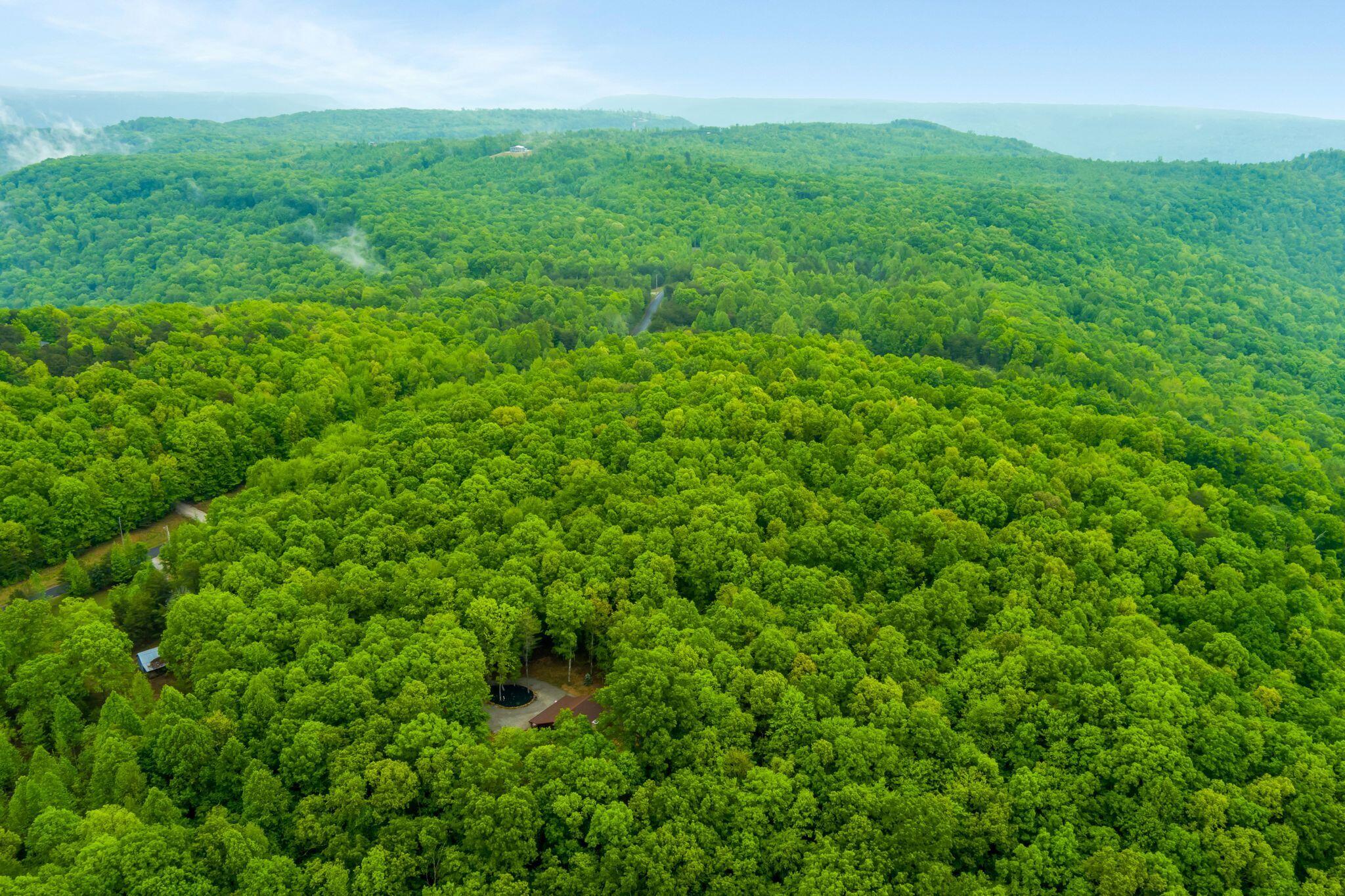 1590 Jackson Point Road Sewanee, TN 37375 - Photo 3 of 41 rp2505012-1049