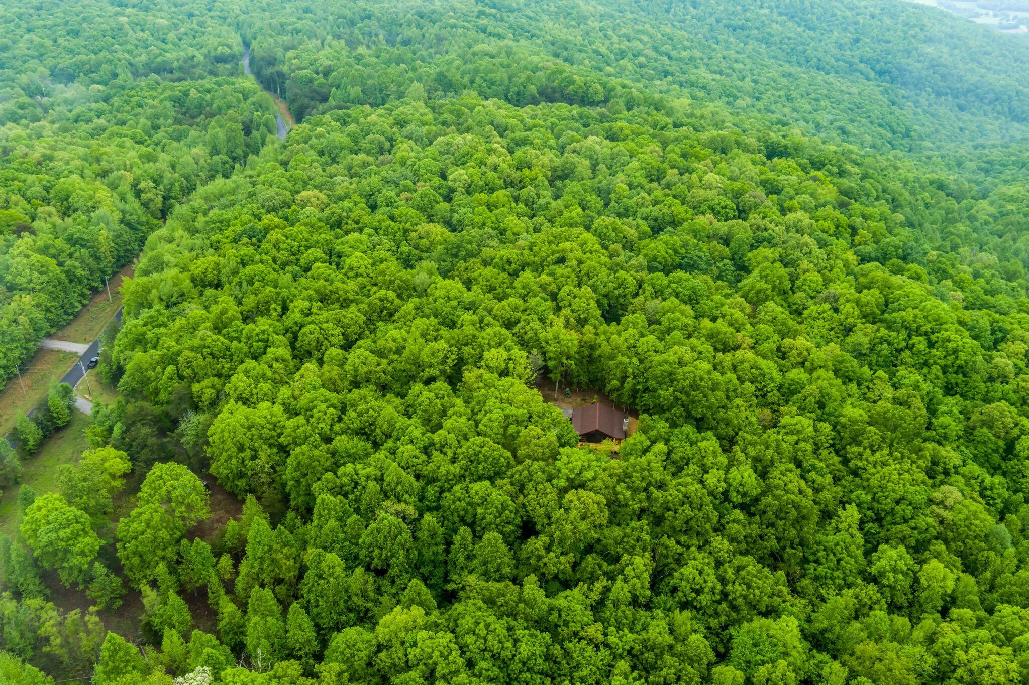 1590 Jackson Point Road Sewanee, TN 37375 - Photo 41 of 41 rp2505012-1047