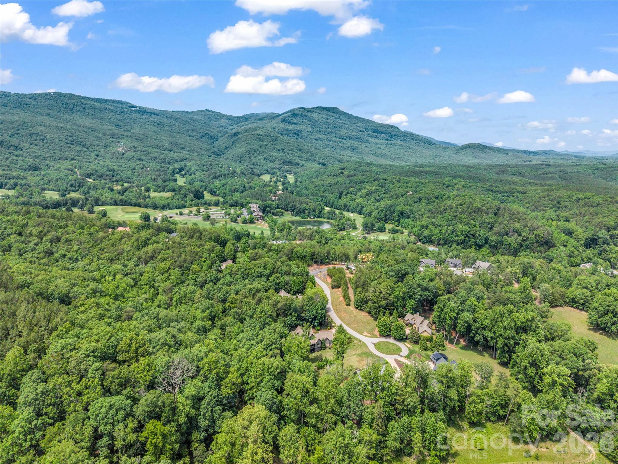 120 Glenn Court Mill Spring, NC 28756 - Photo 47 of 48 a view of a lush green forest with lots of houses