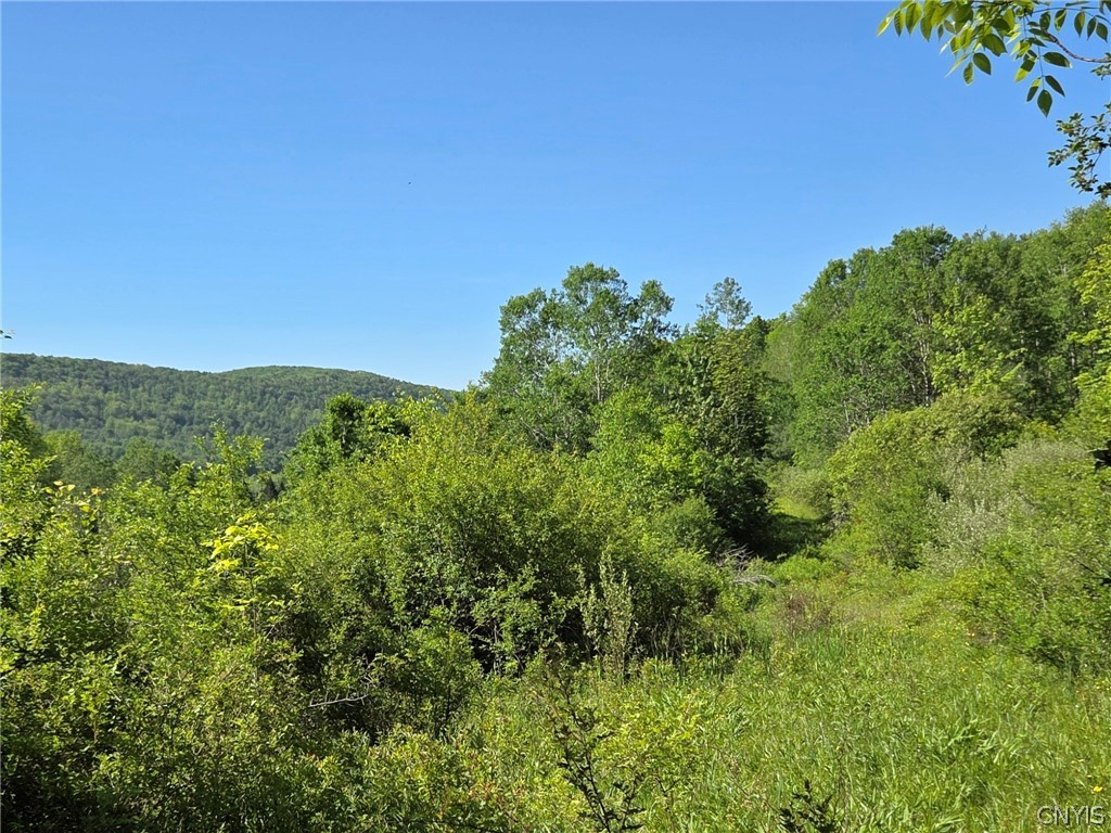 446 Nys Route Cuba, NY 14727 - Photo 12 of 47