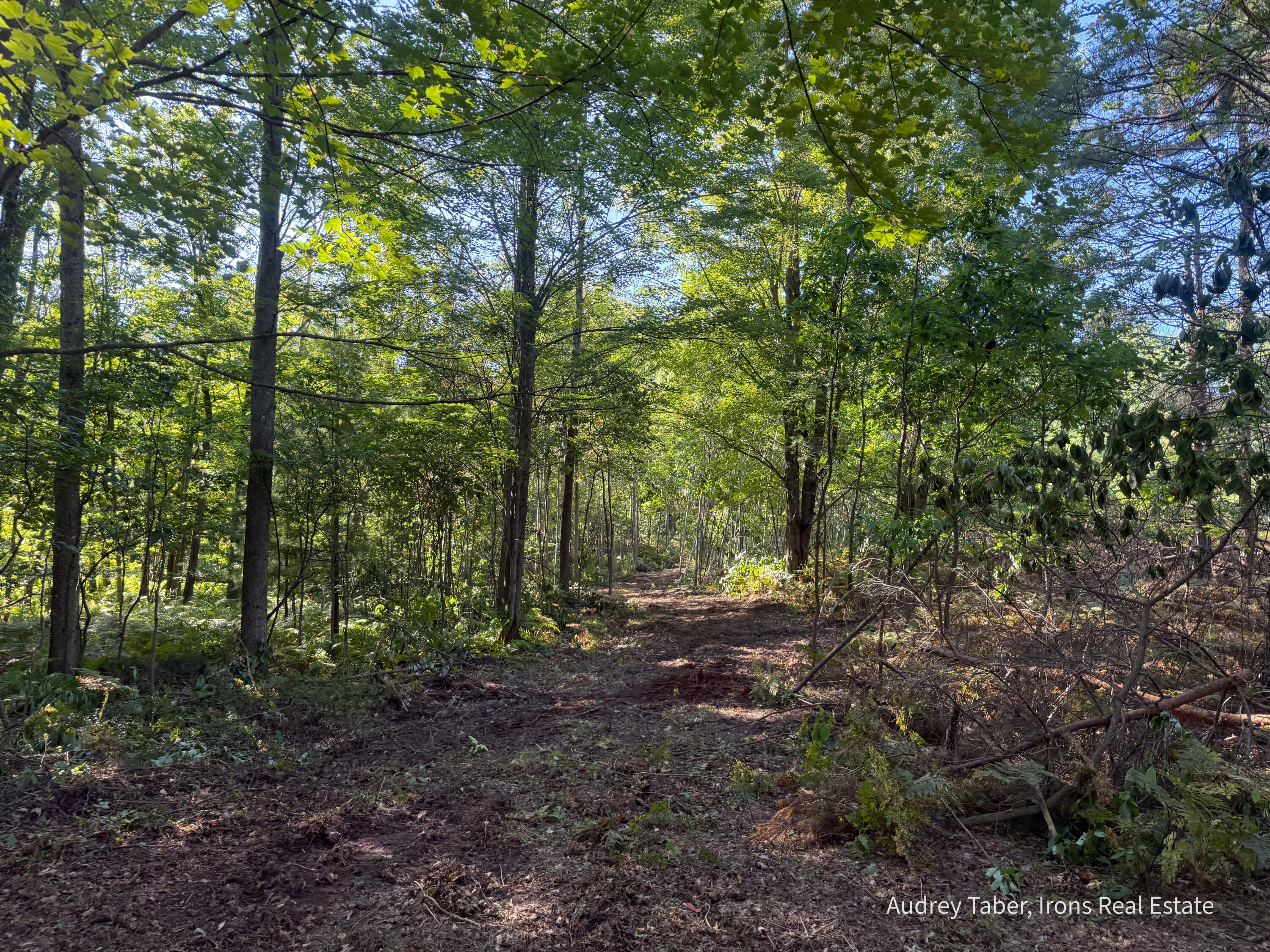 4 Clements Road Kaleva, MI 49645 - Photo 14 of 29 ClementsRd-177
