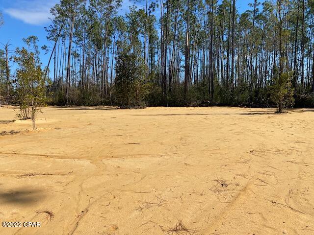 16833 Rollohome Road Fountain, FL 32438 - Photo 3 of 5 Gallery Image 3