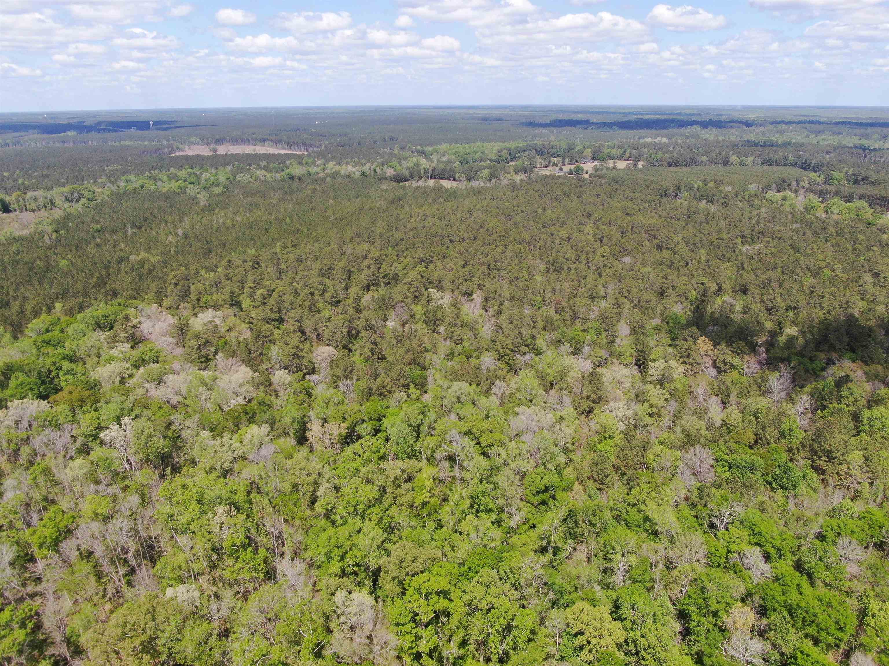 Tbd Georgetown Highway Andrews, SC 29510 - Photo 5 of 15
