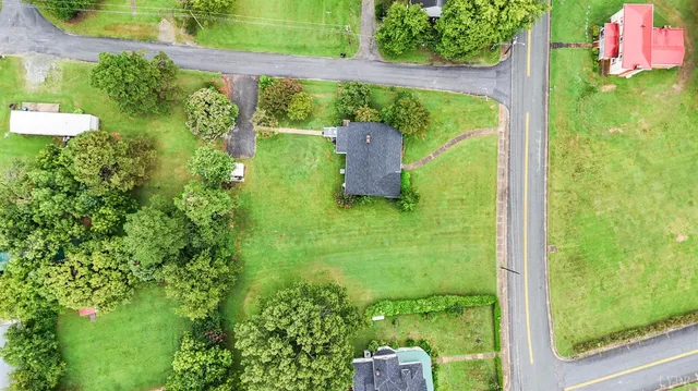 a view of a garden from a window