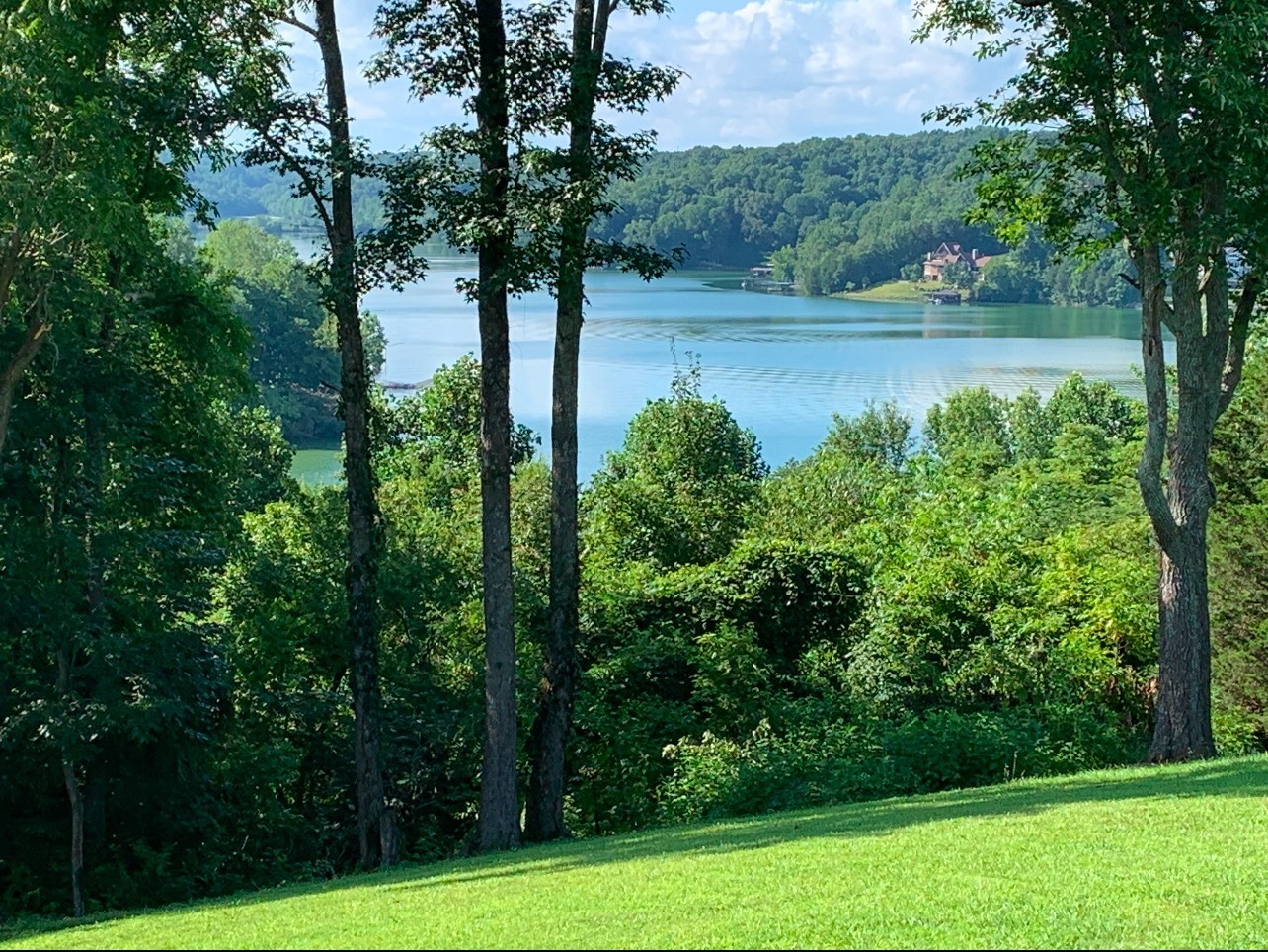 a view of a lake view with a yard