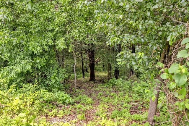 an aerial view of a residential houses with outdoor space and river
