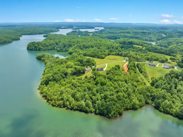 a view of a lake with a city