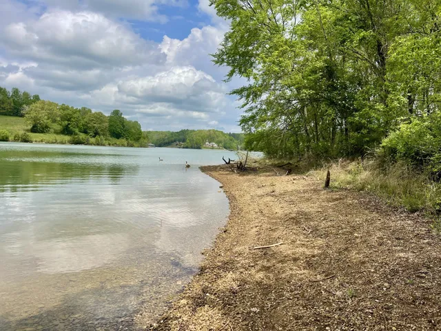 a view of a lake with a yard and large trees