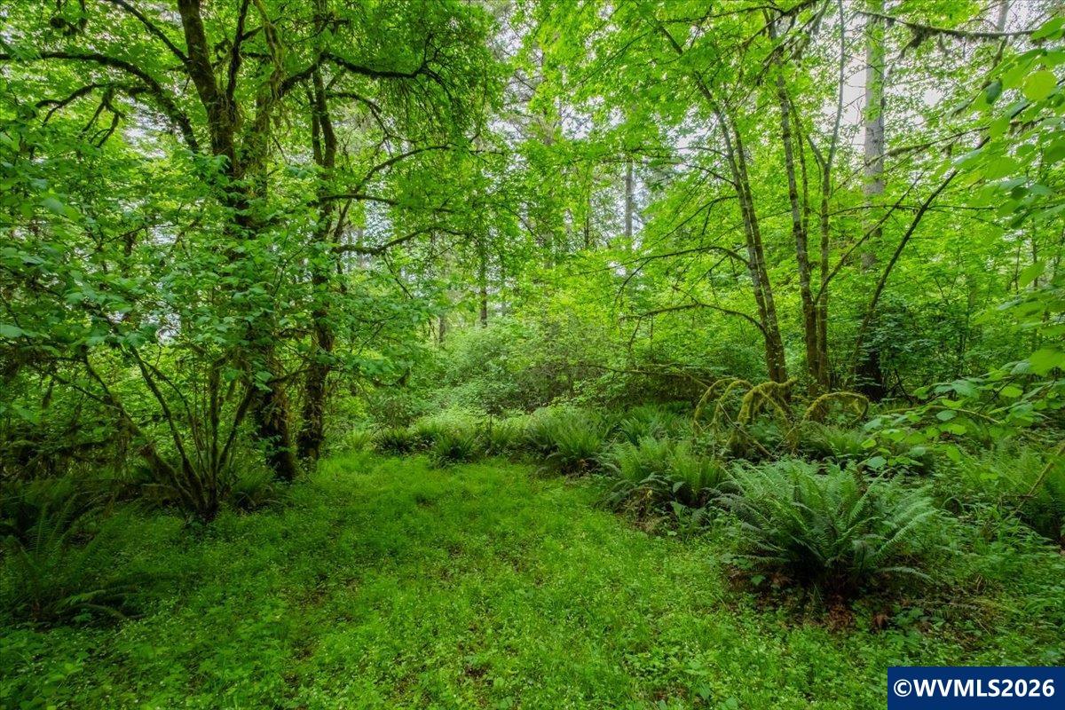 0057485 Next To 40587 Baptist Church Road Lebanon, OR 97355 - Photo 19 of 38