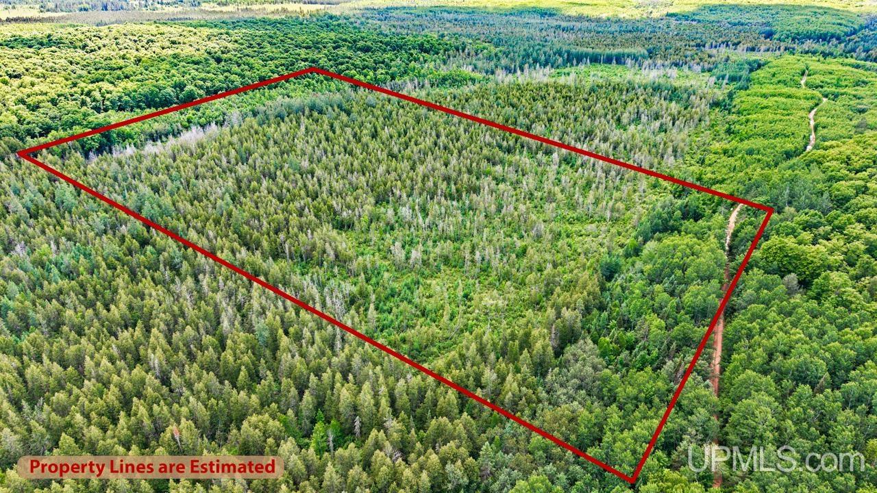 1188 Northwest South Ross Wells Road Felch, MI 49831 - Photo 8 of 14