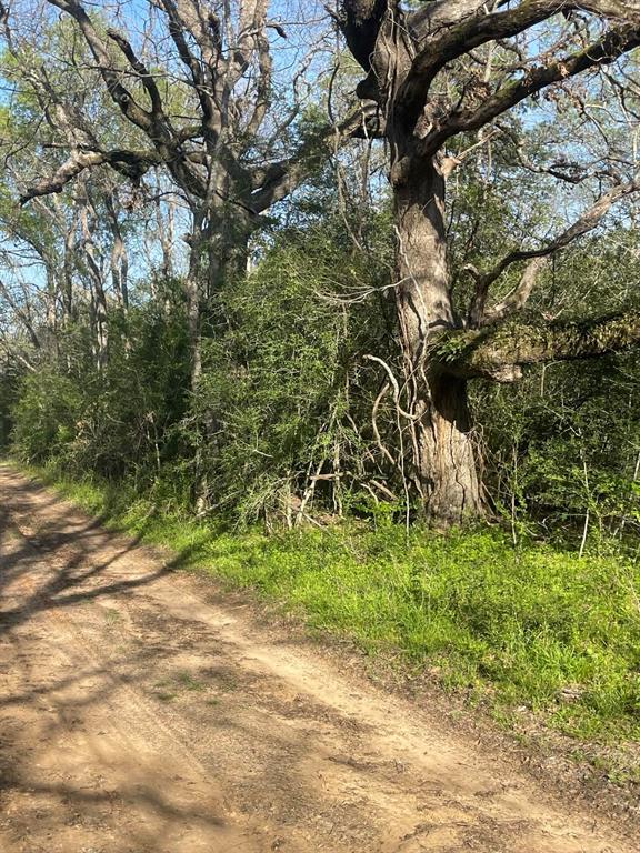 0 Fm 542 Oakwood Tx  