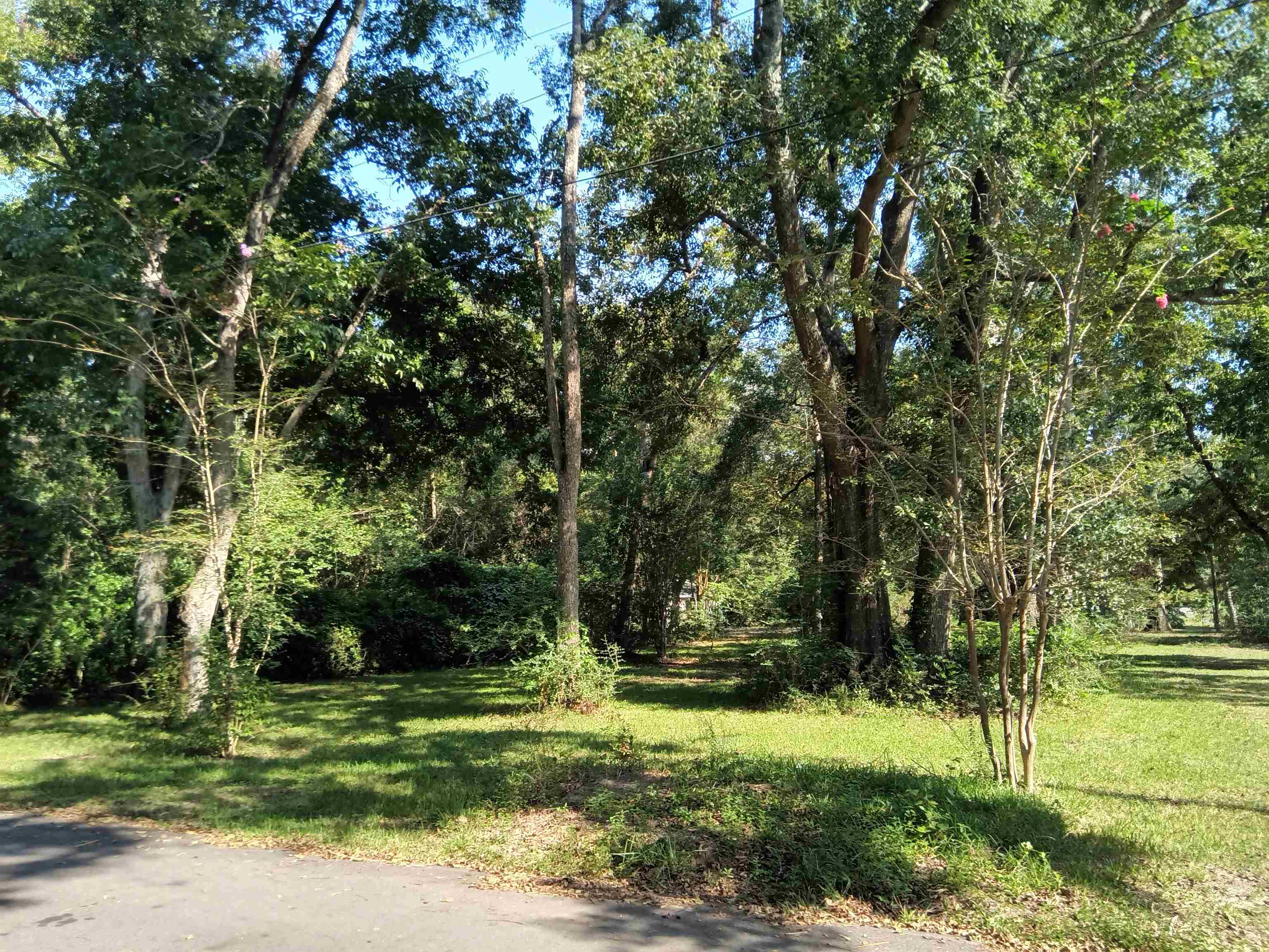 0 Charles Street Bay Minette, AL 36507 - Photo 7 of 10