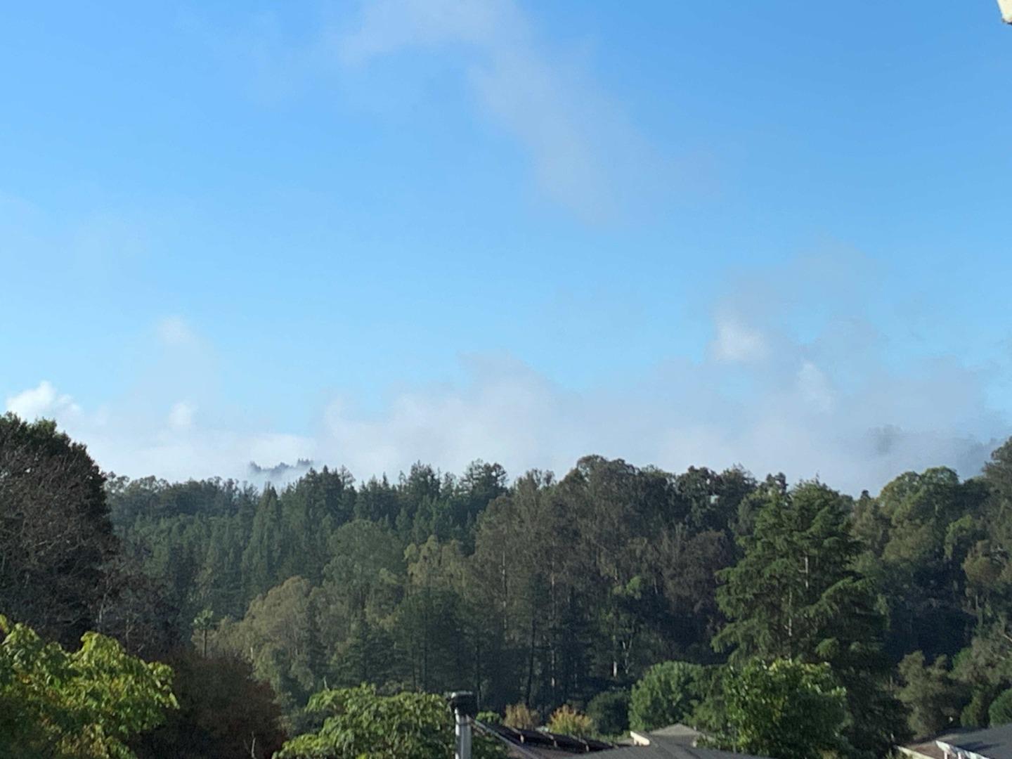 270 Hames Road, Unit 55 Watsonville, CA 95076 - Photo 3 of 53 a view of a bunch of trees in a field