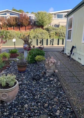 a view of a backyard with plants and a patio