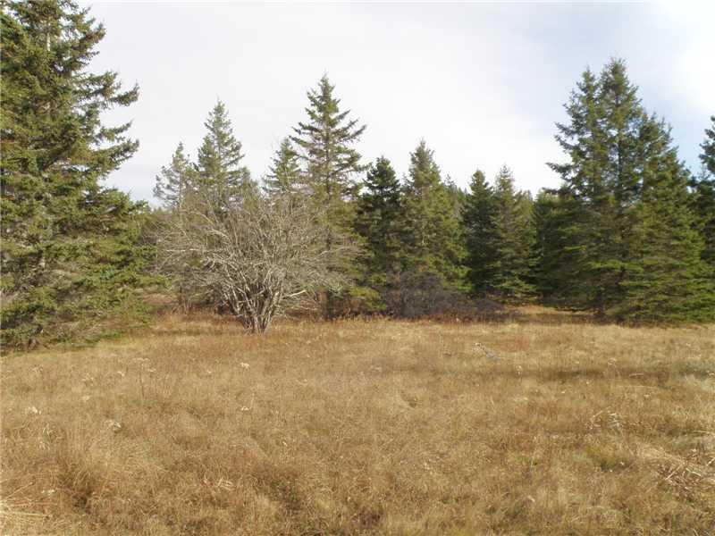 0 Leach Point Perry, ME 04667 - Photo 4 of 10 Land/Lot. Looking into the lot from...
