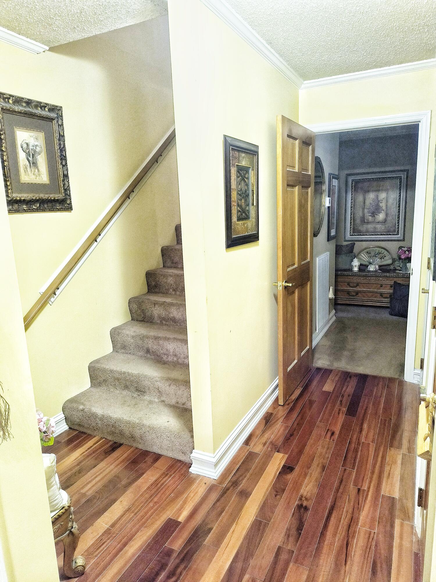 1804 Salem Valley Road Ringgold, GA 30736 - Photo 26 of 47 IMG_20231003_155011932-01