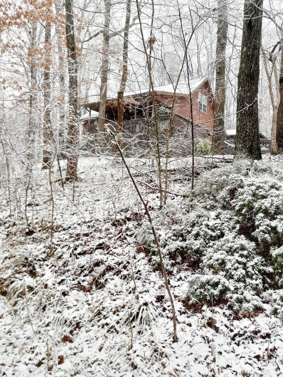 1804 Salem Valley Road Ringgold, GA 30736 - Photo 37 of 47 Future Christmas Card