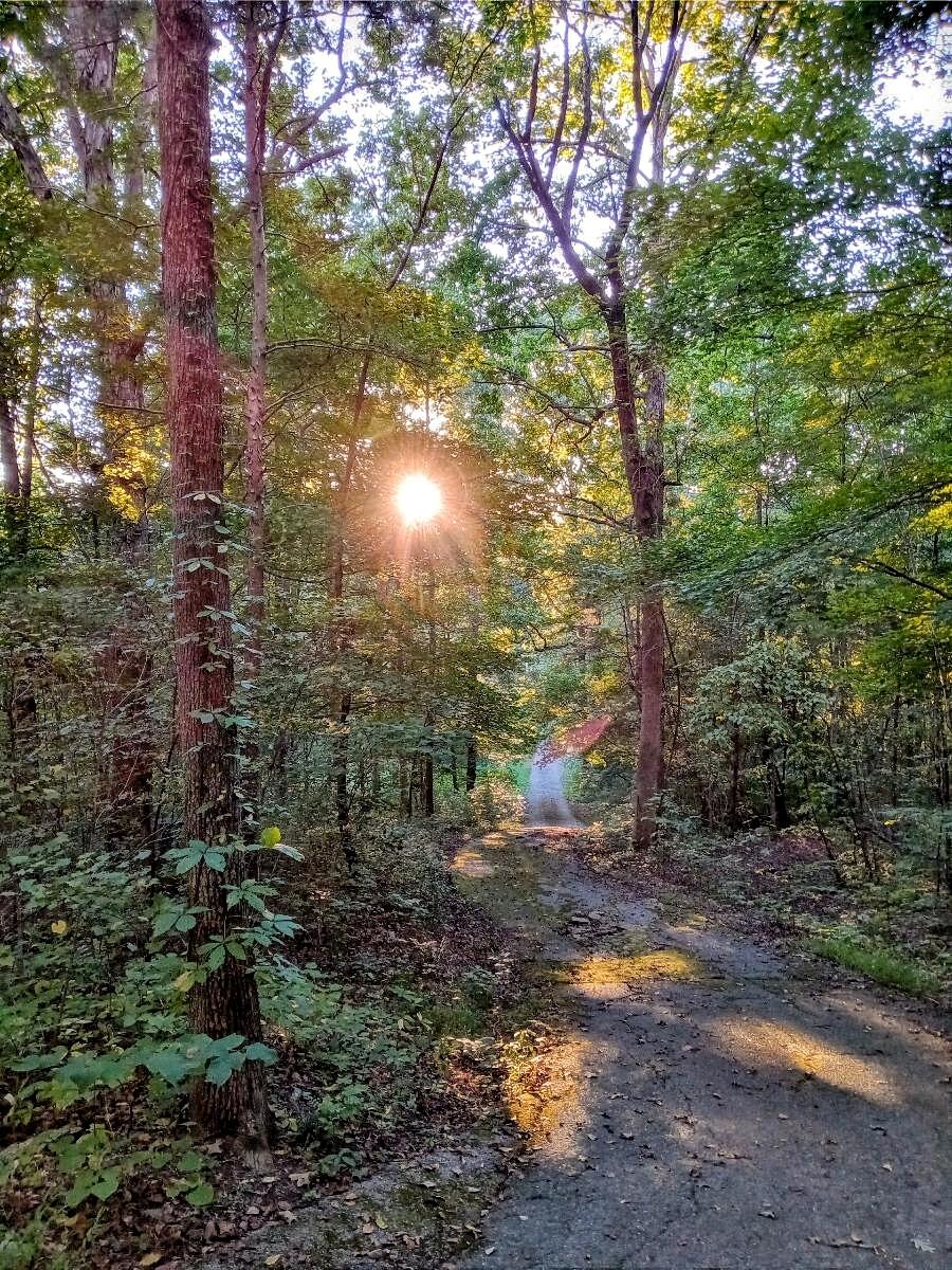 1804 Salem Valley Road Ringgold, GA 30736 - Photo 40 of 47 up the driveway