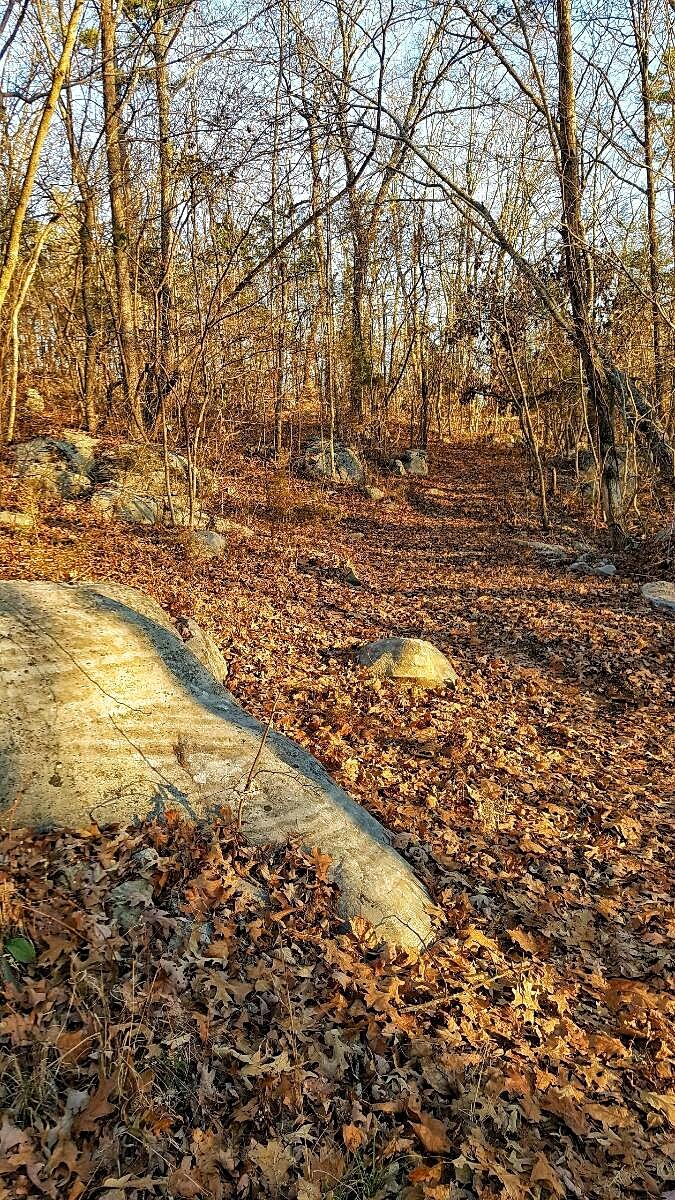 1804 Salem Valley Road Ringgold, GA 30736 - Photo 41 of 47 130319-01