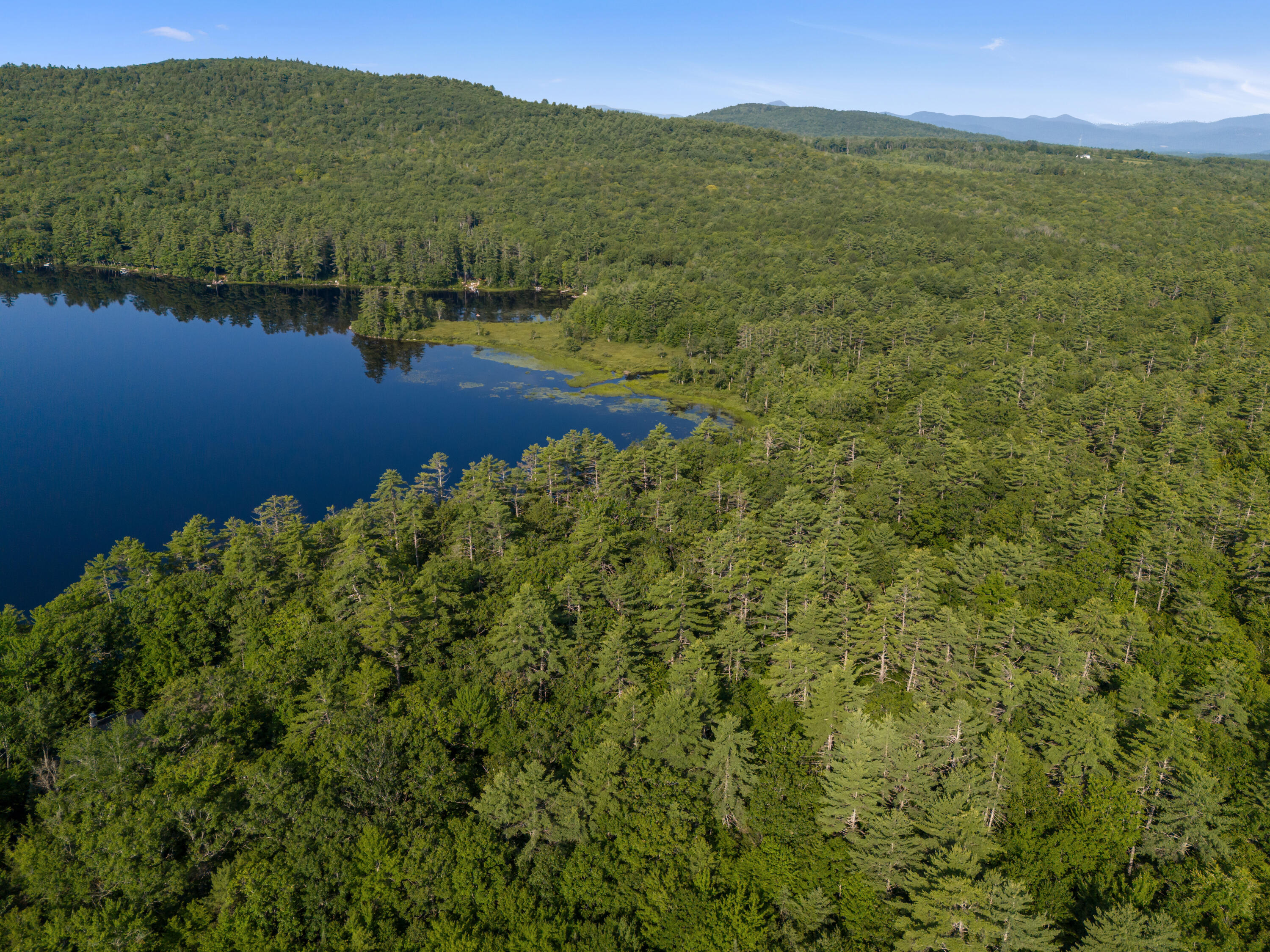 273 Hardscrabble Road Sweden, ME 04040 - Photo 18 of 26 DJI_20260727083703_0371_D