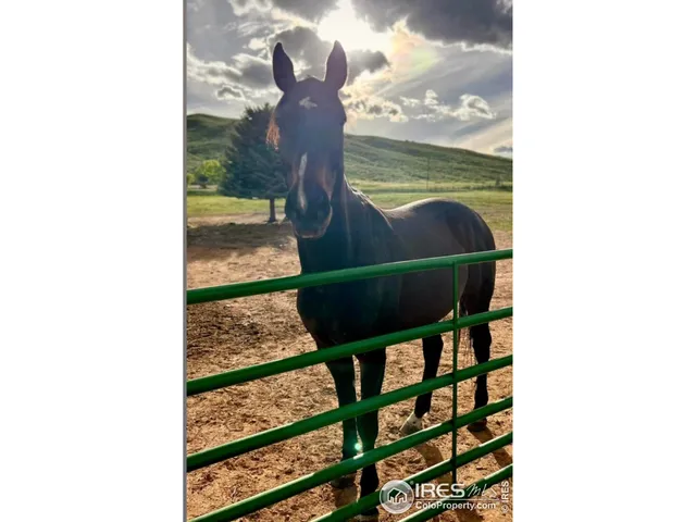 a view of car parked on road