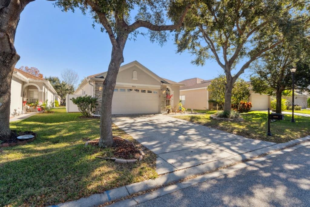 9314 Creedmoor Lane New Port Richey, FL 34654 - Photo 46 of 55