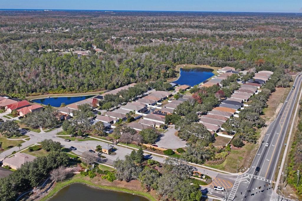 9314 Creedmoor Lane New Port Richey, FL 34654 - Photo 50 of 55