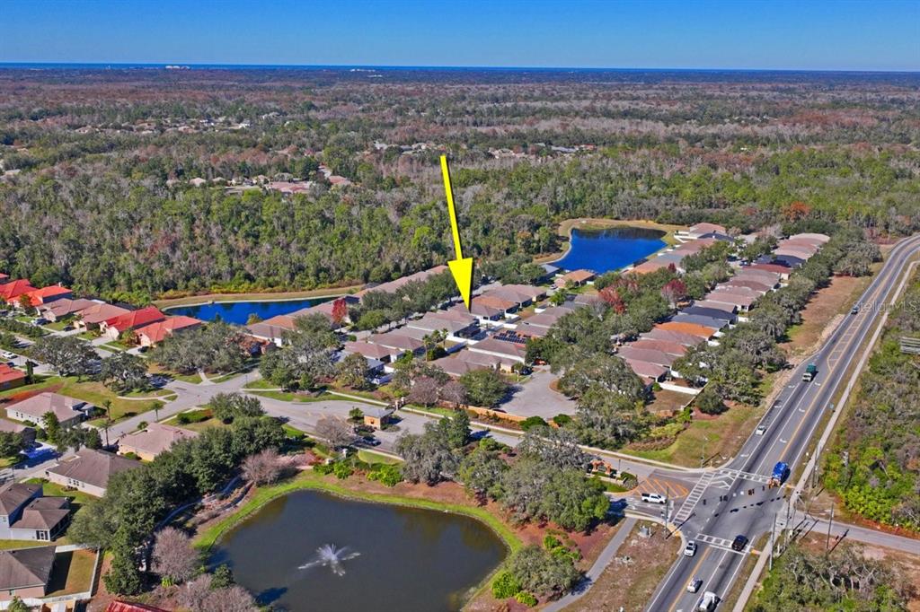 9314 Creedmoor Lane New Port Richey, FL 34654 - Photo 51 of 55