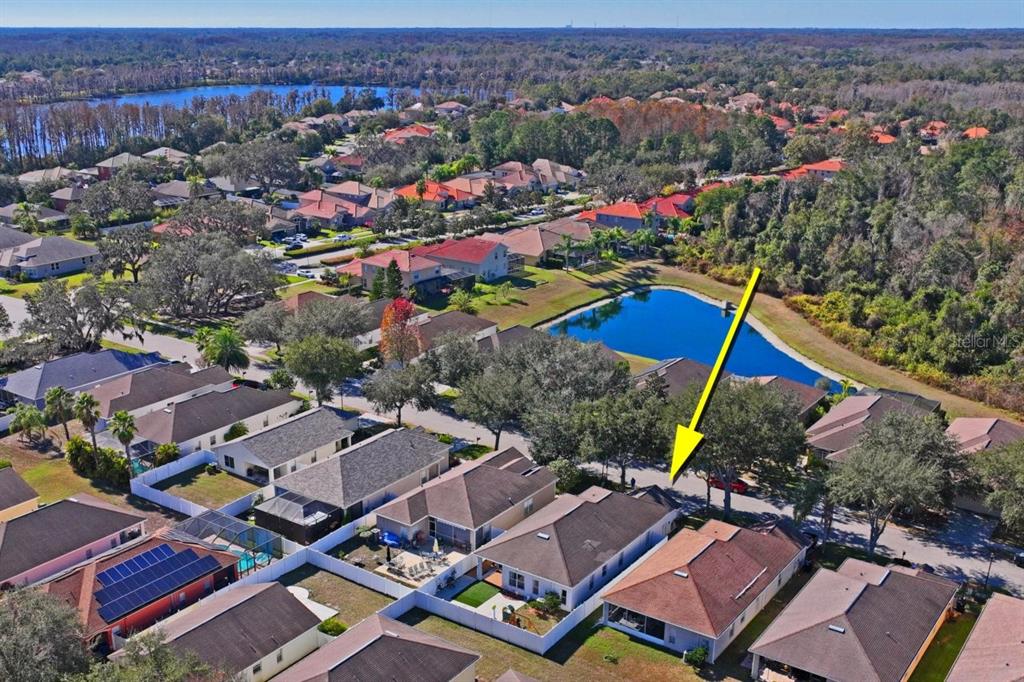 9314 Creedmoor Lane New Port Richey, FL 34654 - Photo 52 of 55