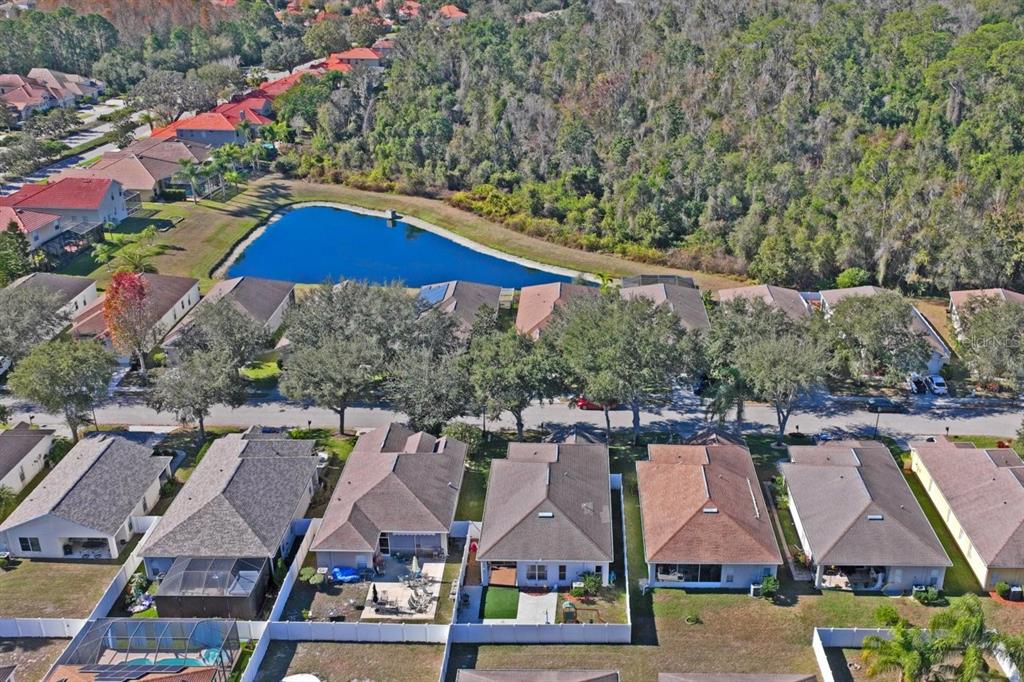 9314 Creedmoor Lane New Port Richey, FL 34654 - Photo 53 of 55