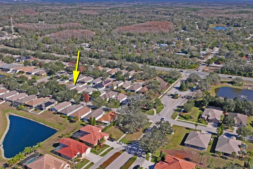 9314 Creedmoor Lane New Port Richey, FL 34654 - Photo 55 of 55