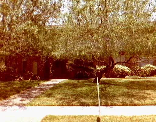 a view of yard