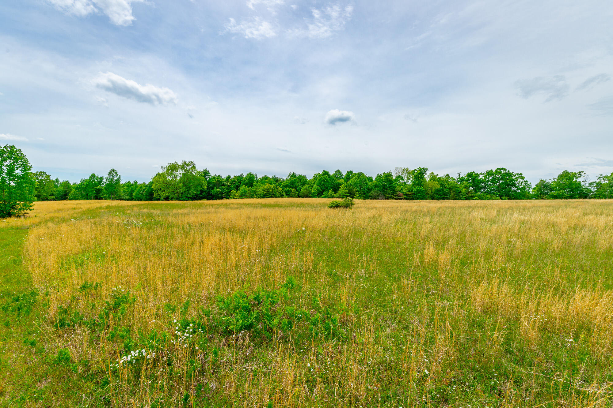 0 Ray Gadd Road Graysville, TN 37338 - Photo 50 of 109 Ray Gadd Road Lot HD-42