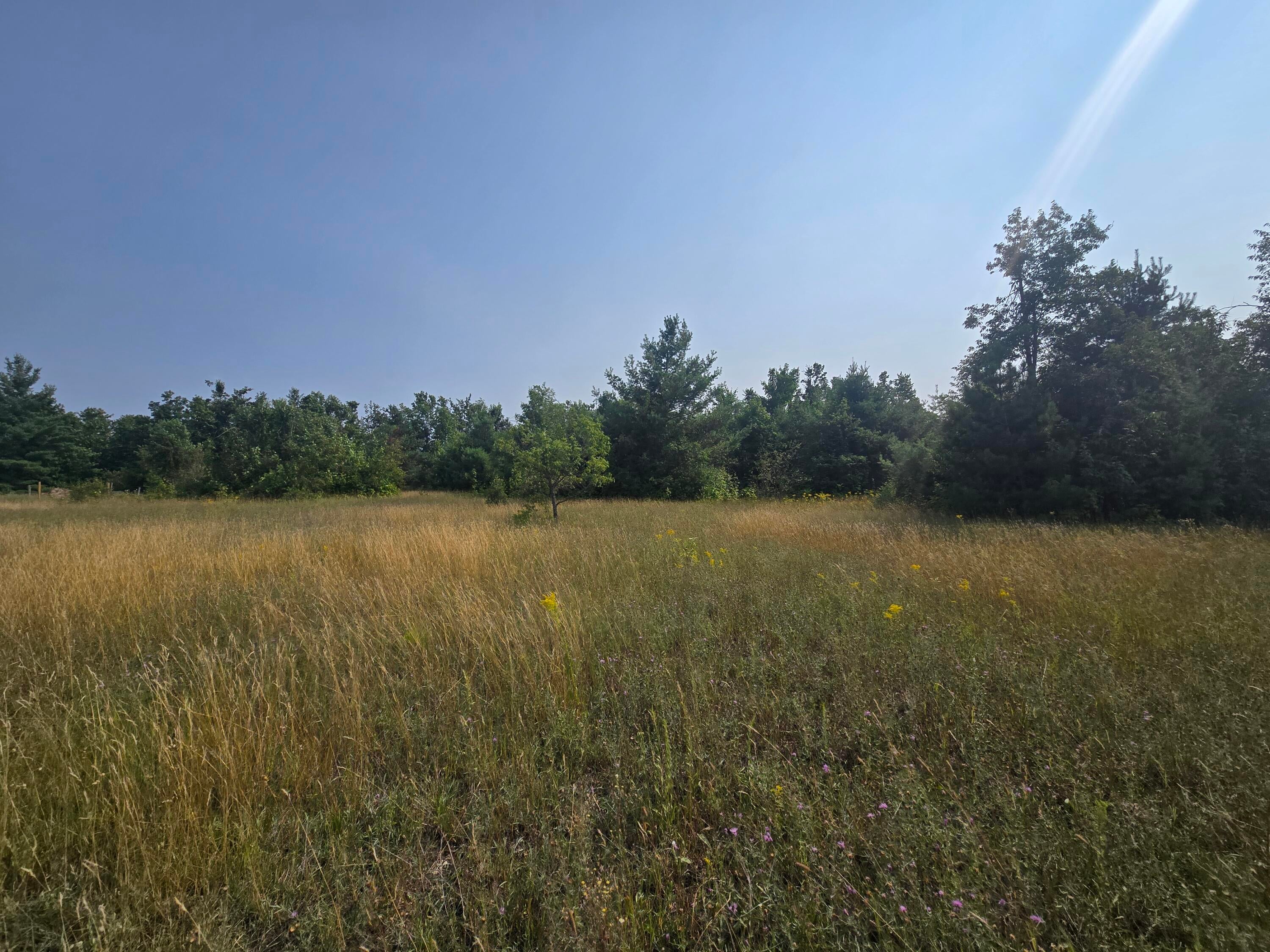 2915 Ordway Road Gaylord, MI 49735 - Photo 9 of 16 Gallery Image 9