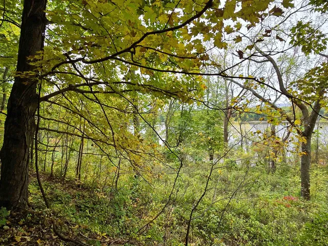 $129,500 | 4.1-acres Hwy 35, De Soto, WI 54624