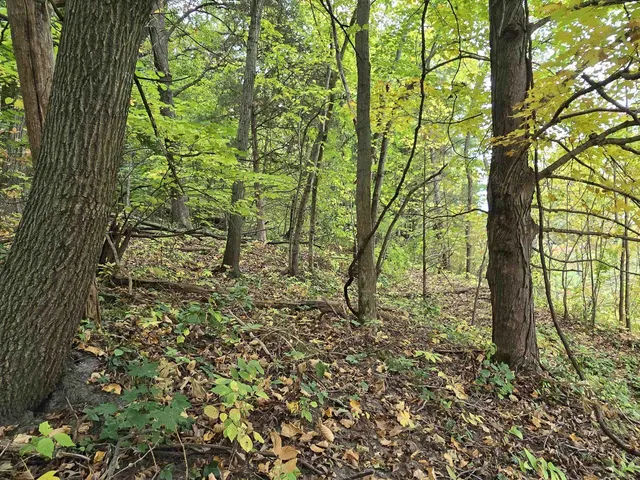 $129,500 | 4.1-acres Hwy 35, De Soto, WI 54624