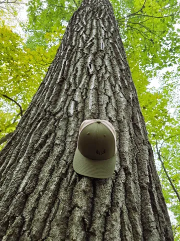 $129,500 | 4.1-acres Hwy 35, De Soto, WI 54624