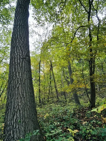 $129,500 | 4.1-acres Hwy 35, De Soto, WI 54624