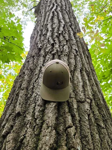 $129,500 | 4.1-acres Hwy 35, De Soto, WI 54624