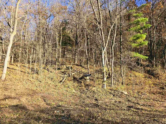 $129,500 | 4.1-acres Hwy 35, De Soto, WI 54624