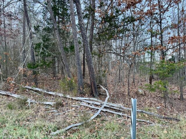 image8