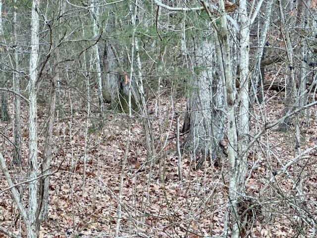 0 Cumberland Gap Road New Castle, VA 24127 - Photo 8 of 9 image12