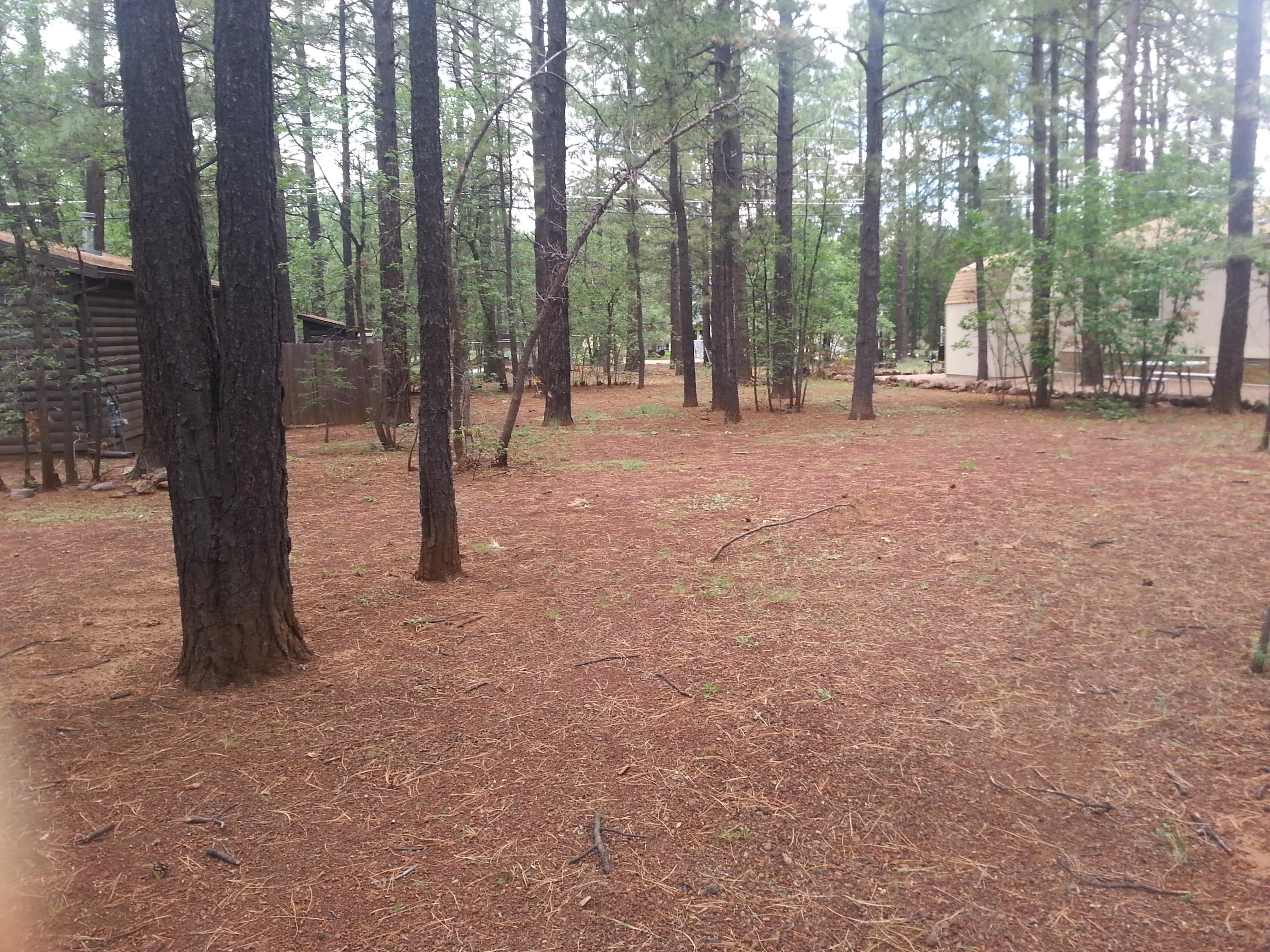 4248 West Blue Ridge Loop Pinetop, AZ 85935 - Photo 3 of 26